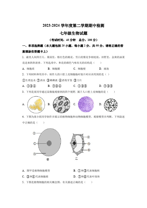 江苏省徐州市沛县2023-2024学年七年级下学期4月期中 生物试题(含解析)