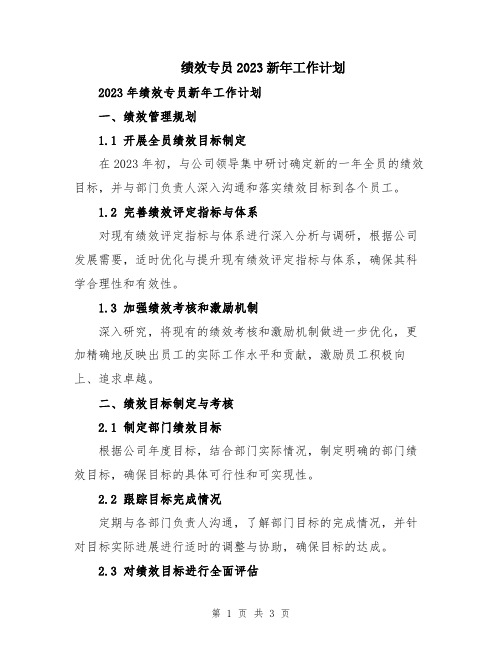 绩效专员2023新年工作计划