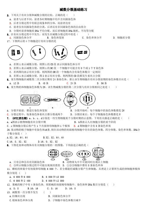 减数分裂练习题