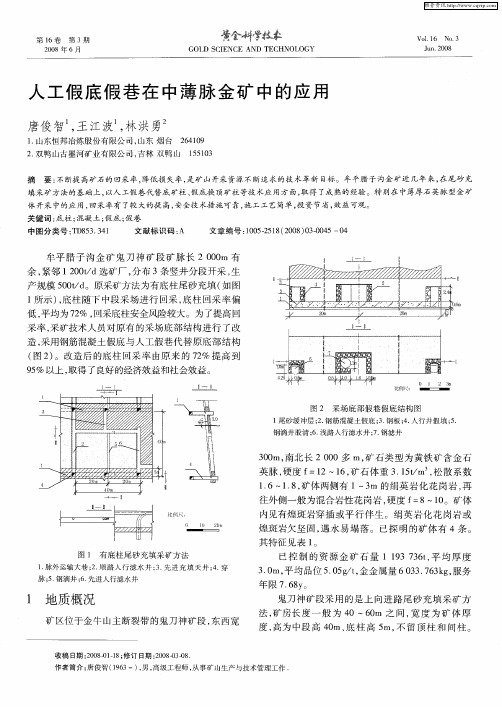 人工假底假巷在中薄脉金矿中的应用