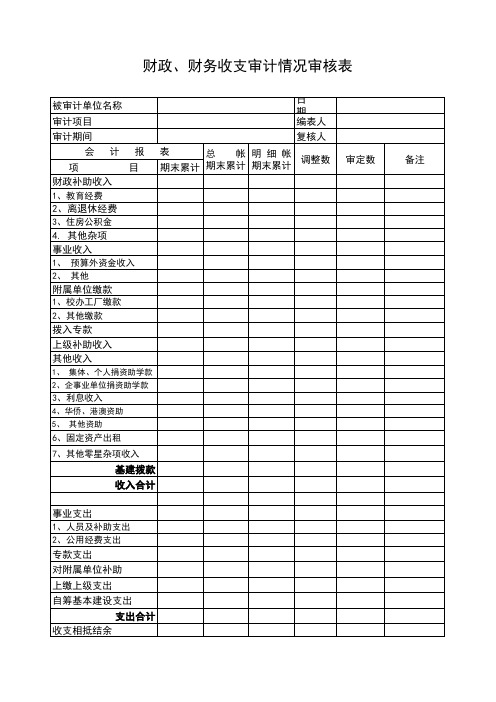 财政财务收支审计情况审核表Excel模板