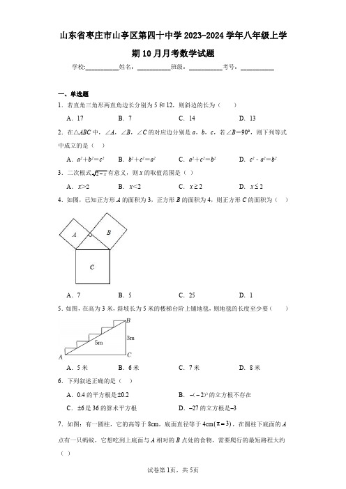 山东省枣庄市山亭区第四十中学2023-2024学年八年级上学期10月月考数学试题