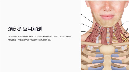 制医学课件局解2颈部的应用解剖