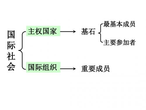 1.4国际组织概观