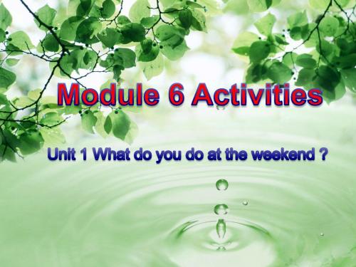 Module6Weekend Unit1 What do you do at the weekend