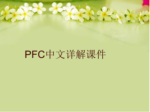 PFC中文详解课件