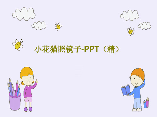 小花猫照镜子-PPT(精)共16页