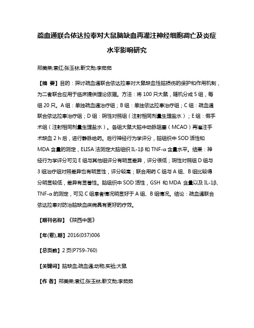 疏血通联合依达拉奉对大鼠脑缺血再灌注神经细胞凋亡及炎症水平影响研究