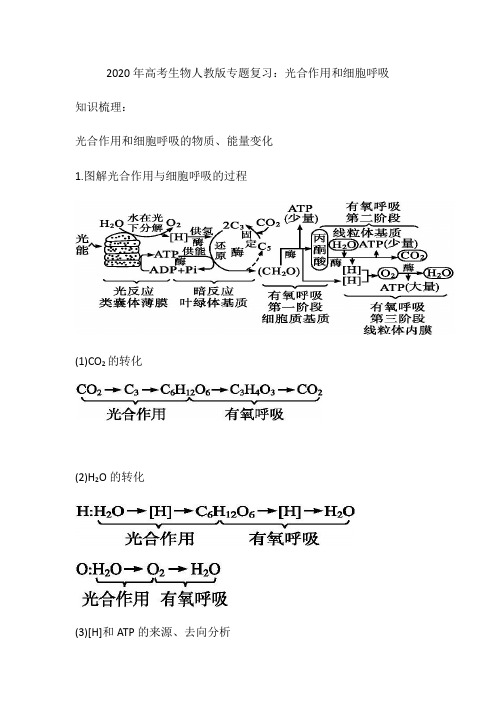 2020年高考生物人教版专题复习：光合作用和细胞呼吸