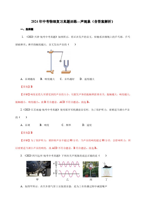 2024年中考物理复习真题训练—声现象(含答案解析)