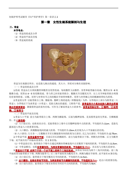 女性生殖系统解剖与生理--初级护师考试辅导《妇产科护理学》第一章讲义2