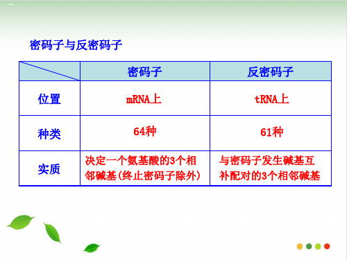 密码子与反密码子PPT