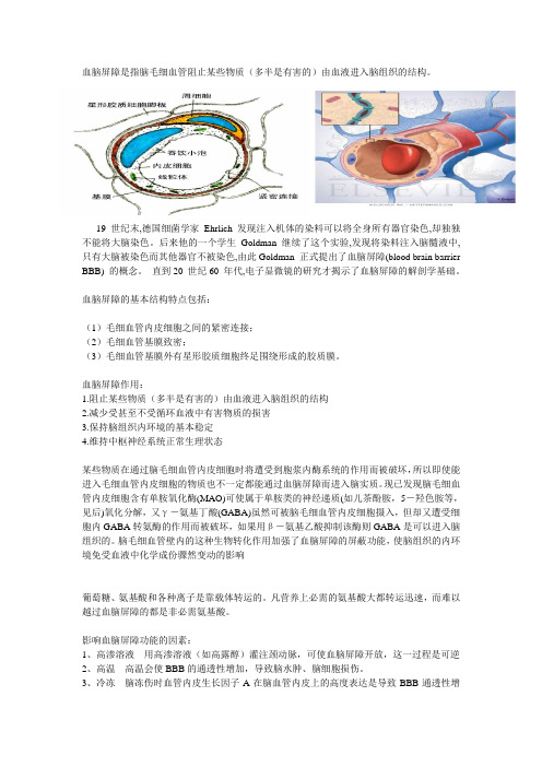 血脑屏障 精粹