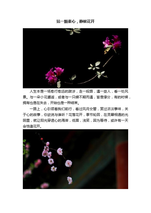 拈一颗素心，静候花开