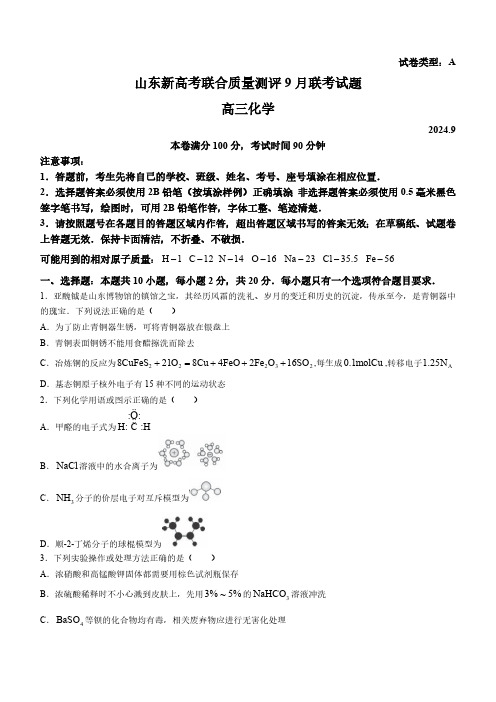 山东省新高考质量测评2025届高三上学期9月联考化学试题(含答案)