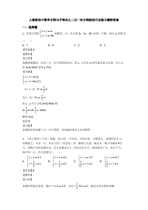 人教版初中数学方程与不等式之二元一次方程组技巧及练习题附答案