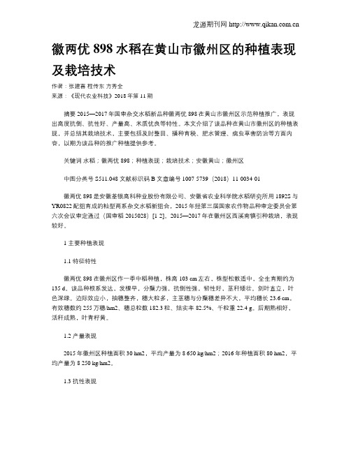 徽两优898水稻在黄山市徽州区的种植表现及栽培技术