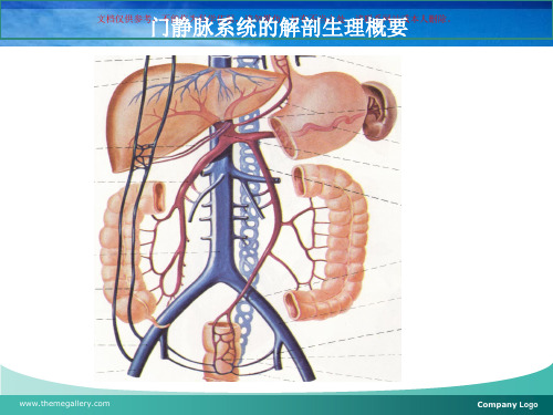 门静脉高压症讲解培训课件