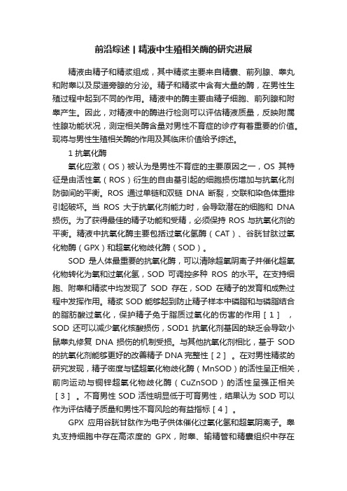 前沿综述丨精液中生殖相关酶的研究进展