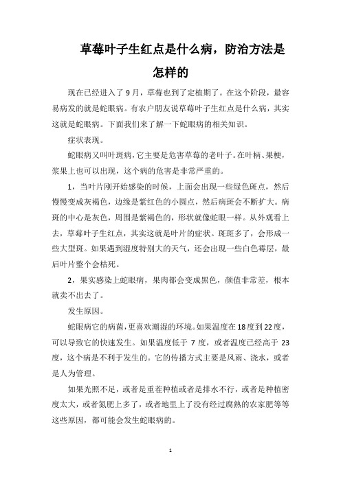 草莓叶子生红点是什么病,防治方法是怎样的