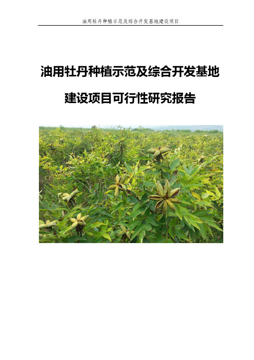 油用牡丹种植示范及综合开发基地建设项目可行性研究报告