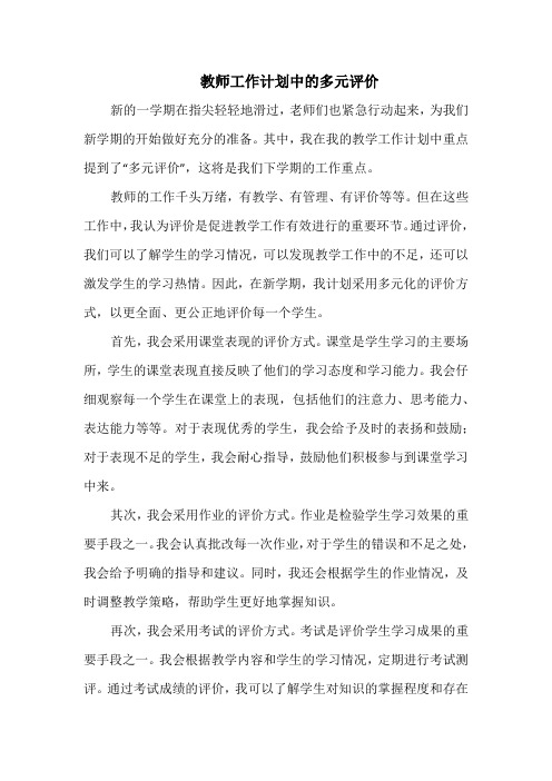 教师工作计划中的多元评价