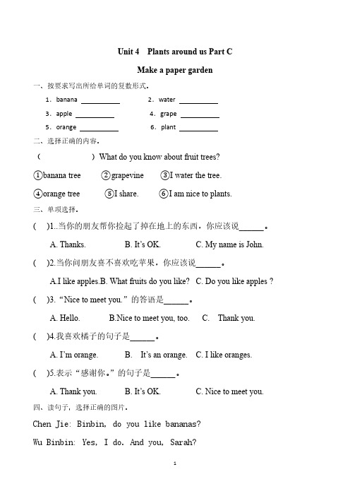 英语人教PEP版(2024新教材)三年级上册Unit 4 Plants arounPart C含答案