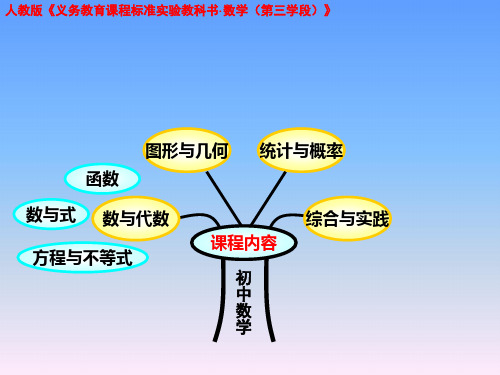 人教版初中数学《数与代数——方程与不等式专题》说课稿