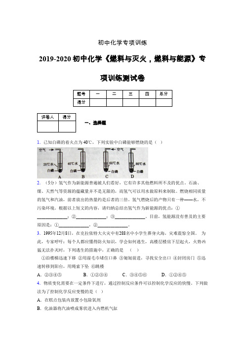 (中考)《燃料与灭火,燃料与能源》专项训练模拟测试(含答案) (318)