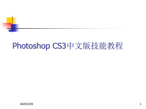 PhotoshopCS3教程(PhotoshopCS3操作大全)PPT参考幻灯片