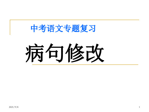 中考语文专题复习《病句修改》PPT课件【优质PPT】