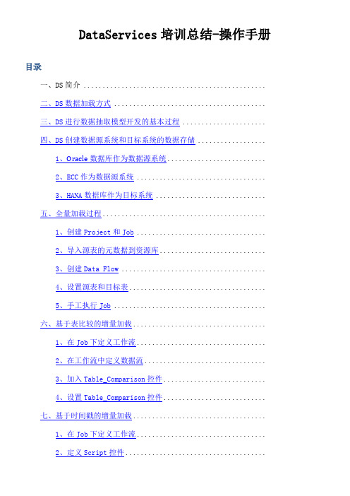 DataService操作手册