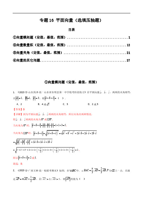 专题16 平面向量(选填压轴题)(教师版)-2024年高考数学压轴专题复习