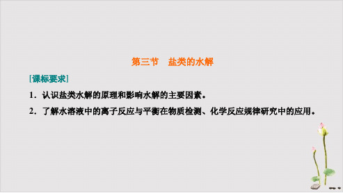 第三节盐类的水解考点(三)溶液中粒子浓度的大小比较课件新高考化学一轮复习