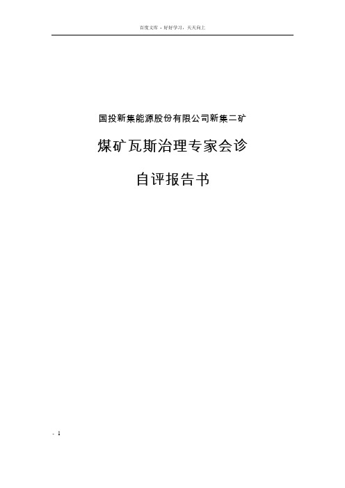 新集二矿瓦斯治理专家会诊自评报告书(100921)