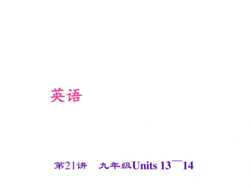 第21讲 九年级Units 13～14