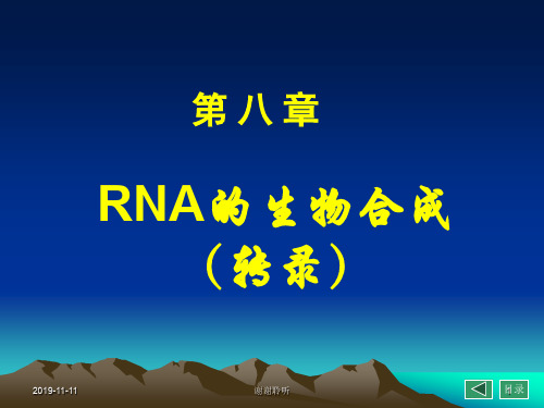 RNA的生物合成.pptx