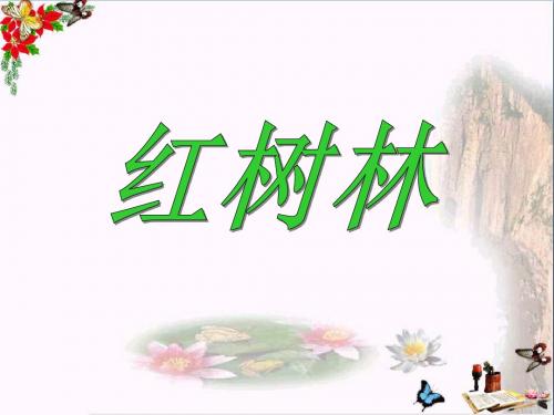 《红树林》 精品课件4(共13张)