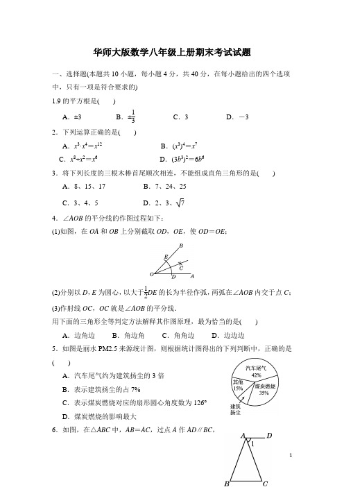 华师大版数学八年级上册期末考试试卷含答案