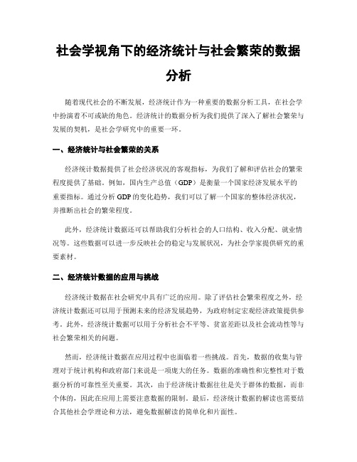 社会学视角下的经济统计与社会繁荣的数据分析