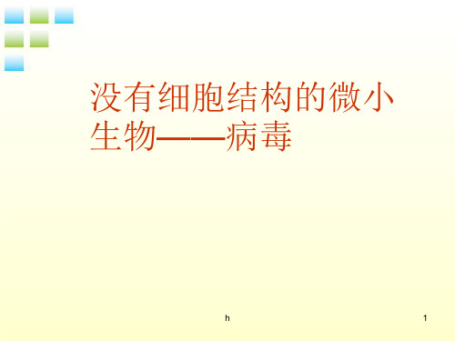 七年级生物上册 第二单元 第四章 没有细胞结构的微小生物病毒课件 人教新课标版