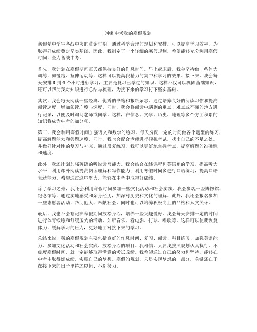 冲刺中考我的寒假规划