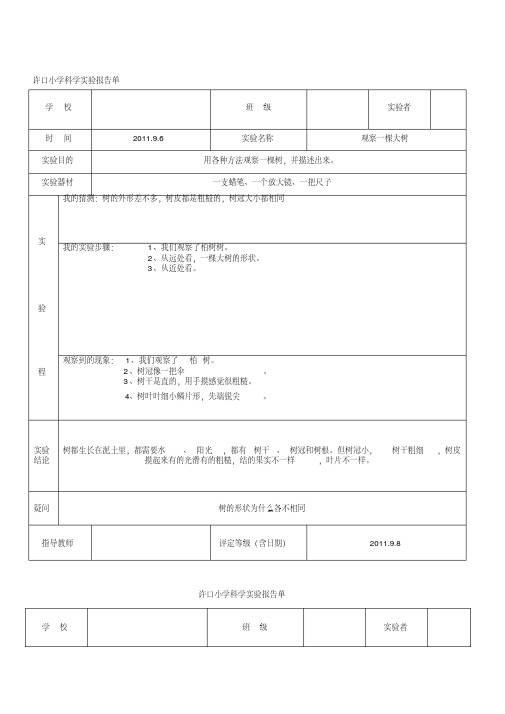 最新教科版三年级上册科学实验报告单