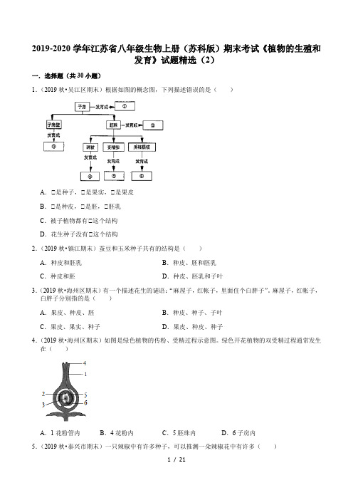 苏科版八年级生物上册期末专题复习：第19章《植物的生殖和发育》试题精选(解析版)