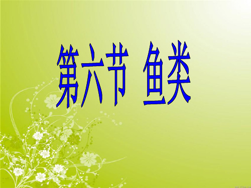 河北省巨鹿县第五中学冀少版七年级生物上册课件：46鱼类(共35张PPT)