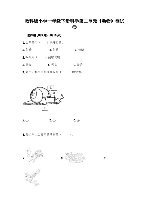 教科版小学一年级下册科学第二单元《动物》测试卷附完整答案【精选题】