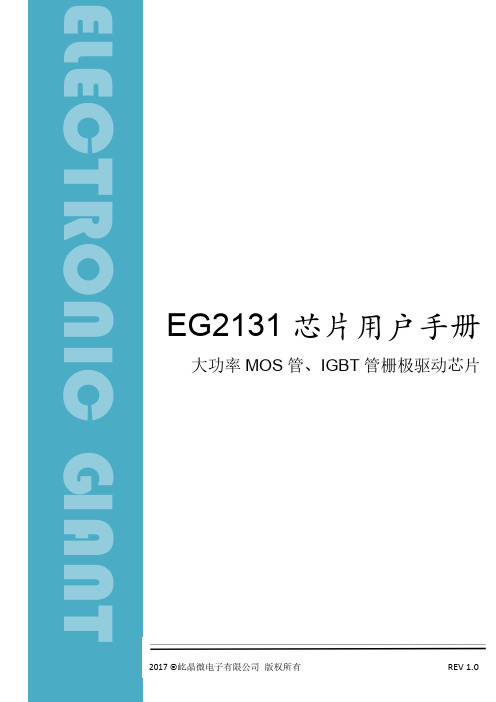 EG2131 芯片用户手册说明书