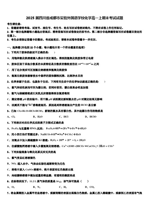 2025届四川省成都市实验外国语学校化学高一上期末考试试题含解析