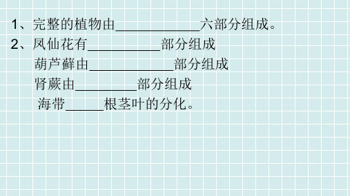 青岛版小学科学三年级上册第六课植物的根课件