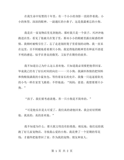 难忘的小狗作文范文